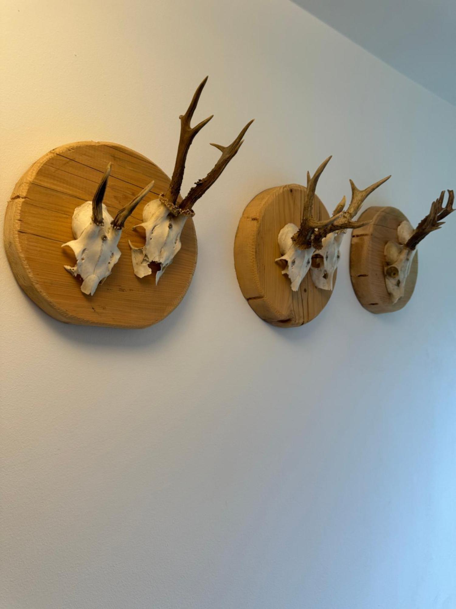 Der Gamsjaeger Hotel Gosau Kültér fotó
